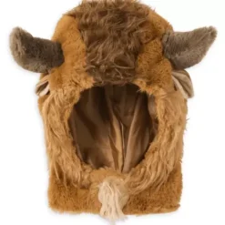 Beast Costume For Kids – Beauty And The Beast