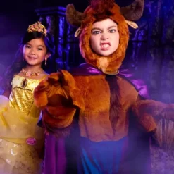 Beast Costume For Kids – Beauty And The Beast