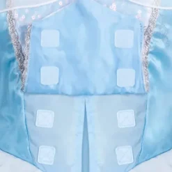 Cinderella Adaptive Costume For Adults