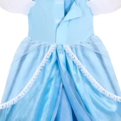 Cinderella Adaptive Costume For Adults