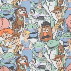 Toy Story Land Pullover Hoodie For Adults